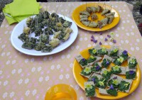 /album/ail-des-ours-le-retour-/degustation-ail-des-ours-jpg/